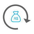 money bag icon